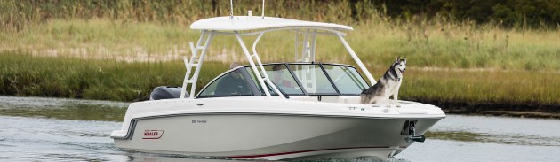 Boston-Whaler-230-Vantage-Gallery-Header.jpg